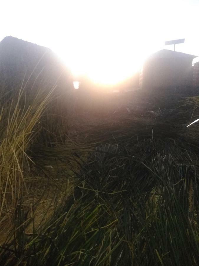 Uros Lodge Lover Titiqaqa Puno Luaran gambar